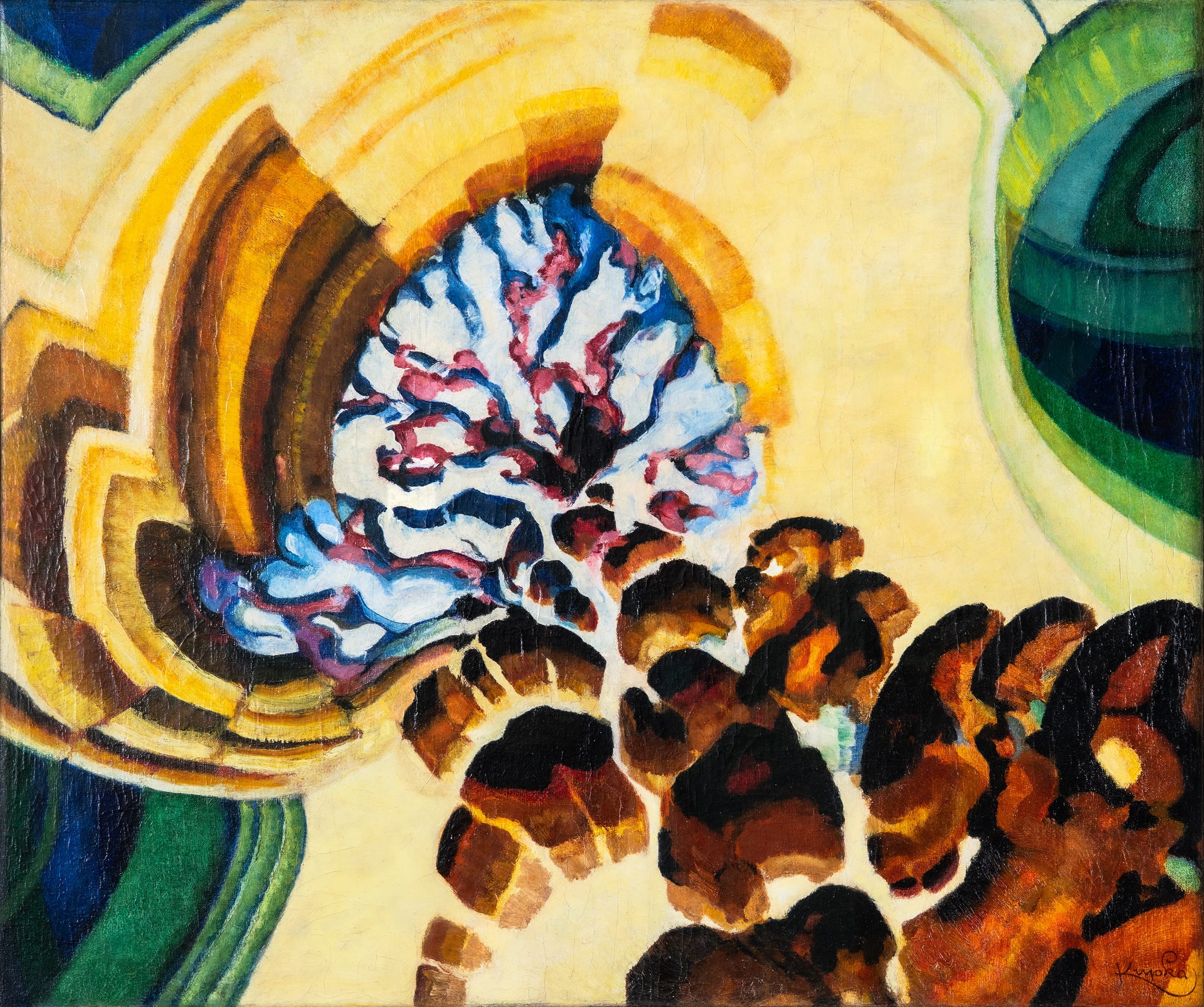 object image
